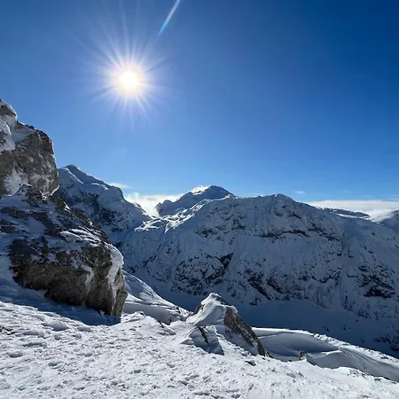 In 1500 M Hoehe An Der Skipiste شقة