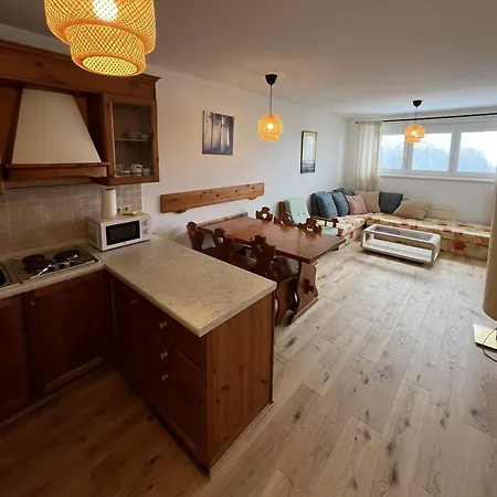 In 1500 M Hoehe An Der Skipiste Appartamento