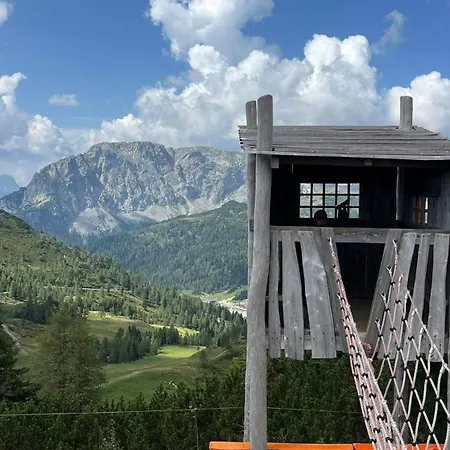 In 1500 M Hoehe An Der Skipiste Sonnenalpe Nassfeld