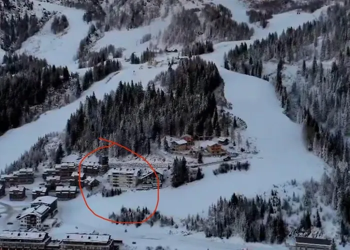 In 1500 M Hoehe An Der Skipiste Sonnenalpe Nassfeld