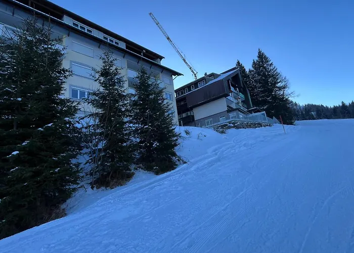 In 1500 M Hoehe An Der Skipiste Apartmán